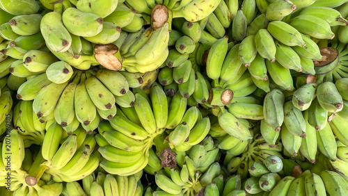 Fresh raw green bananas bunch, agricultural product background.