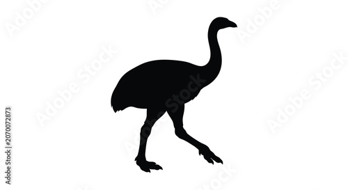 Konstfotografi A black silhouette of an emu in profile depicted against a plain white backgroun