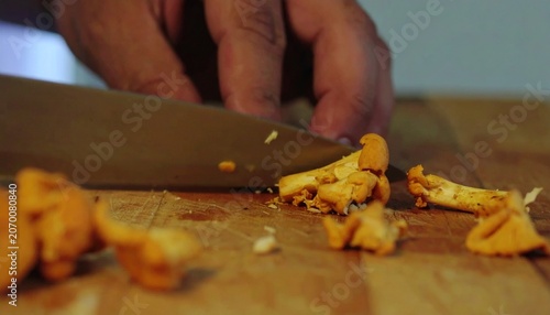 Close up of freshly baked cheese pizza slices on wooden board.