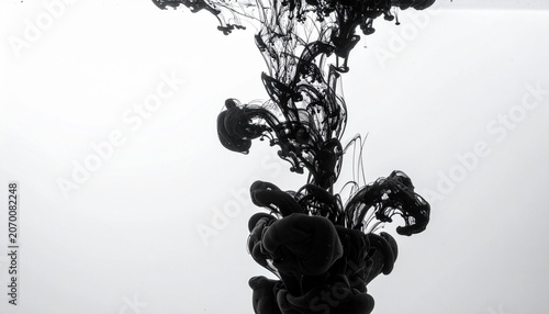 Black and white close up of blooming cherry blossom tree.