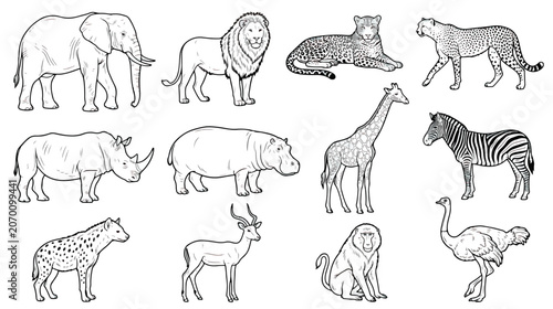 Canvas Print African safari animals vector set, hand drawn wild animal line art collection, 1