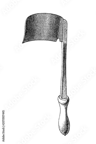 Fotografie Curved-tooth comb with engraved wooden handle, historic grooming implement, old vintage illustration, 1889