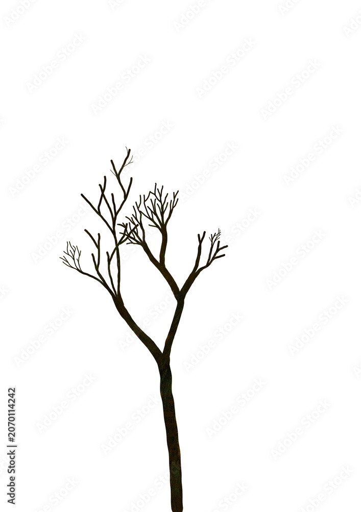 Fototapeta premium Abstract bare tree silhoutte without leaves