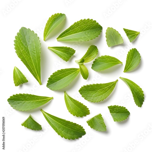 Stevia Leaves Scattered on White Background.