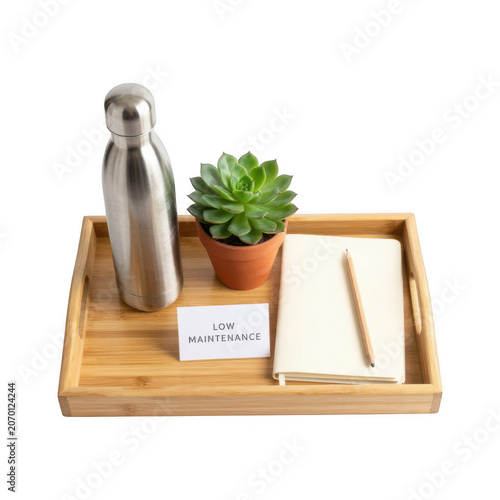 Tray with succulent, bottle and notebook isolated on transparent background