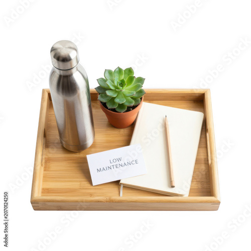 Tray with bottle, plant and journal isolated on transparent background