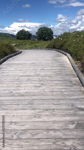road to the beauch, New Zealand
