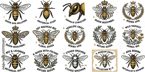Canvastavla Vintage Honey Bee Illustration Set with Royal Queen Symbols, Botanical Sketches,