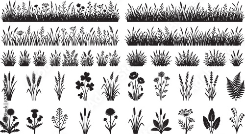 Wild grass and meadow flower silhouettes set for nature design elements isolated on white background vector illustration