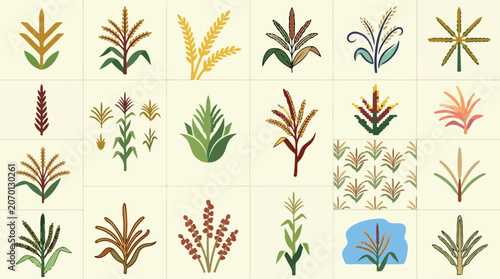 Bild auf Leinwand Vintage botanical grain illustrations, collection of 18 wheat and corn stalk vec
