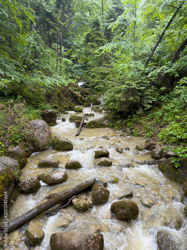 Trekking around Oberstaufen in Bavaria in rainy and grey Weather - Allgaeu in Springtime - Holiday in Green Landscape