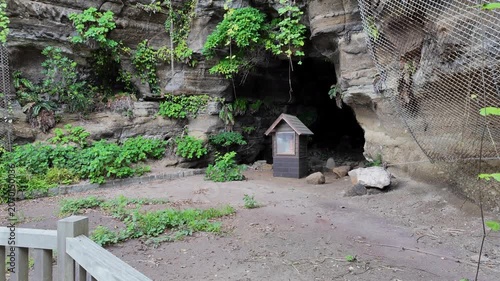 観音崎公園の権現洞窟　神奈川県・横須賀市