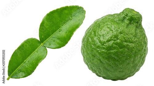Kaffir Lime Fruit and Leaf with Water Droplets Isolated on White Background