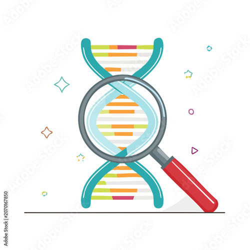 DNA Helix Under Magnifying Glass Vector Illustration