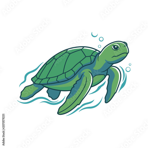 Sea Turtle Marine Life
