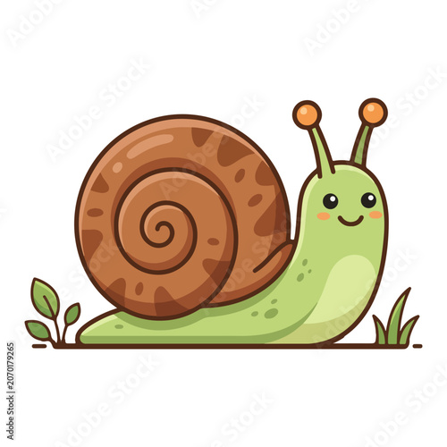 Snail Illustration