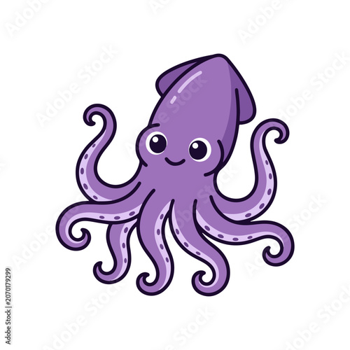 Squid Marine Animal Illustration