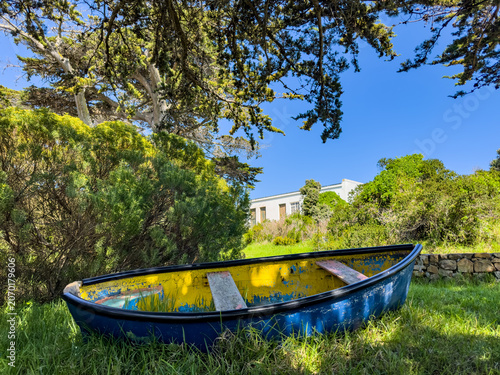 Photography Quaint old rustic dingy rowboat under a tree in a garden