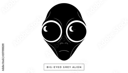 Fotografija Very beautiful black and white close-up realistic vector of a BIG-EYED GREY ALIE