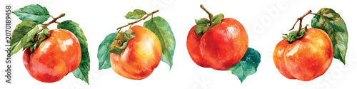Obraz na płótnie Ripe orange persimmons hang on branches with green leaves, rendered in a detaile