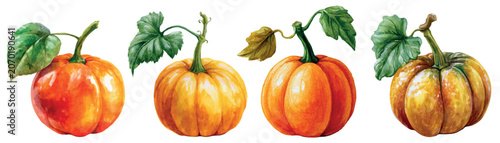 Photos Watercolor pumpkins illustrating fall season