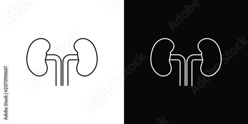 Foto Kidneys icon. linear symbols in black and white
