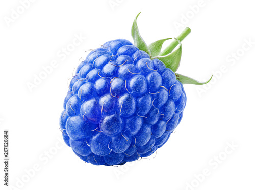 Bild auf Leinwand Delicious single blue raspberry fruit with distinct texture and green leaves