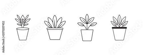 potted plants with different leafy greens in pots with various shapes and sizes on white background