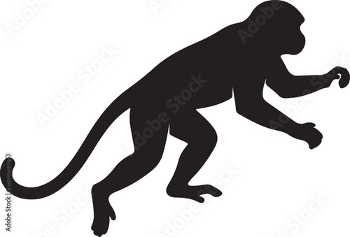 Photography Black silhouette of a monkey in a dynamic pose