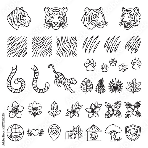 Canvas Print Tiger line art icons and jungle elements, black and white wild cat vector set, t