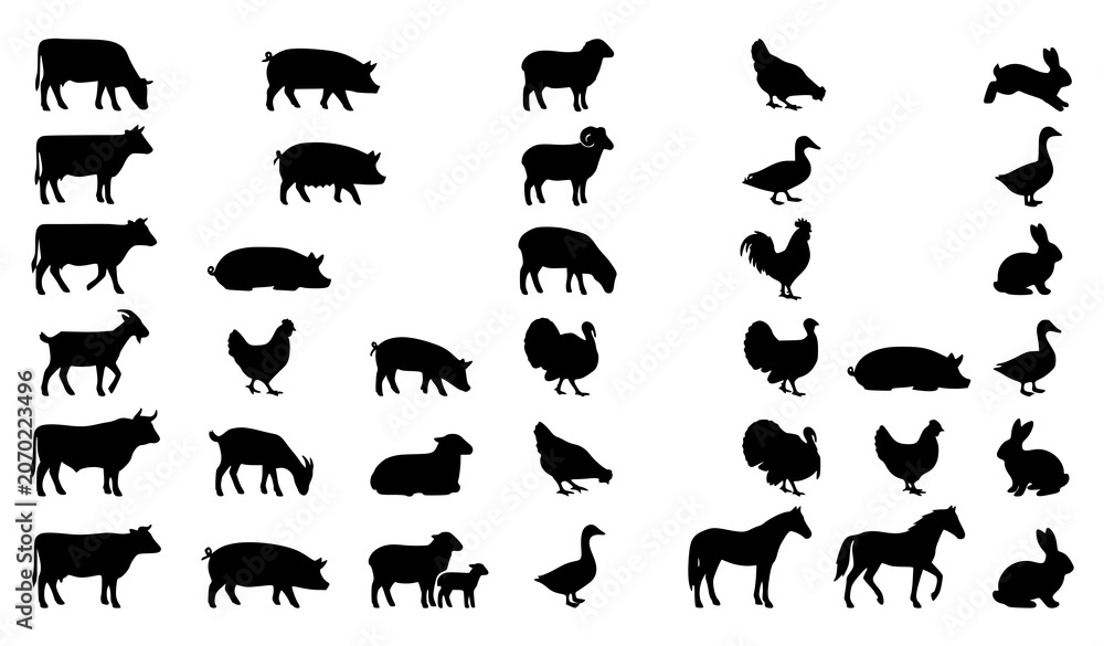 Obraz premium Hand Drawn Farm Animal Silhouette Bundle with Livestock and Poultry Side View Vector Collection