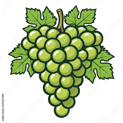 Fresh green grape cluster on vine leaves.