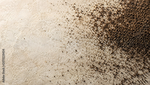 Vanilla bean powder scattered on textured stone surface