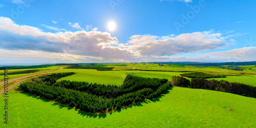 Aerial view of beautiful green fields and neat forests in New Zealand