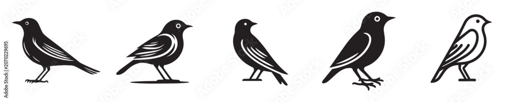 Fototapeta premium Collection of black and white bird icons in modern flat design