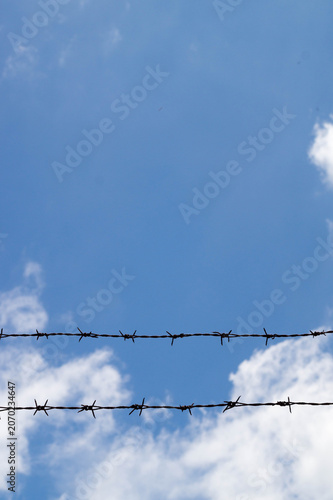 Barbed wire on sky background. Garden or border line, barbed wire. Prison. Security measures idea concept. Orbidden zone. Barriers to those who try to enter the borders illegally. No people, nobody.