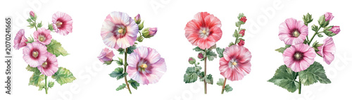 Foto An Imaginary Minimalistic 2D flat icon hollyhock flower, modern element in vecto