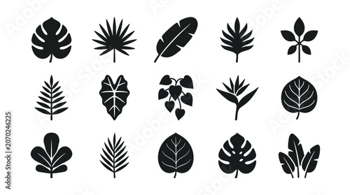Collection of various leaf silhouettes.