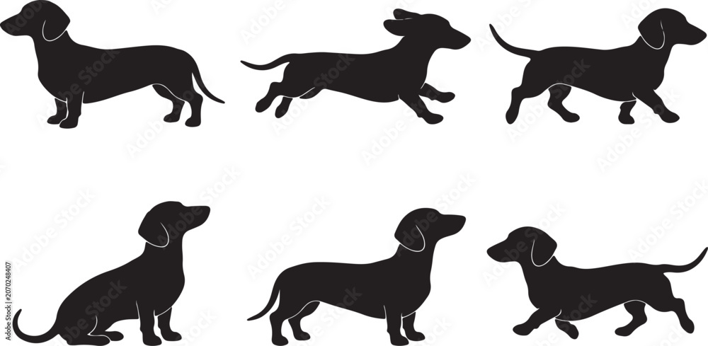 Obraz premium Collection of Dachshund Dog Silhouettes in Different Poses Isolated Vector Set for Pet, Animal and Design Projects