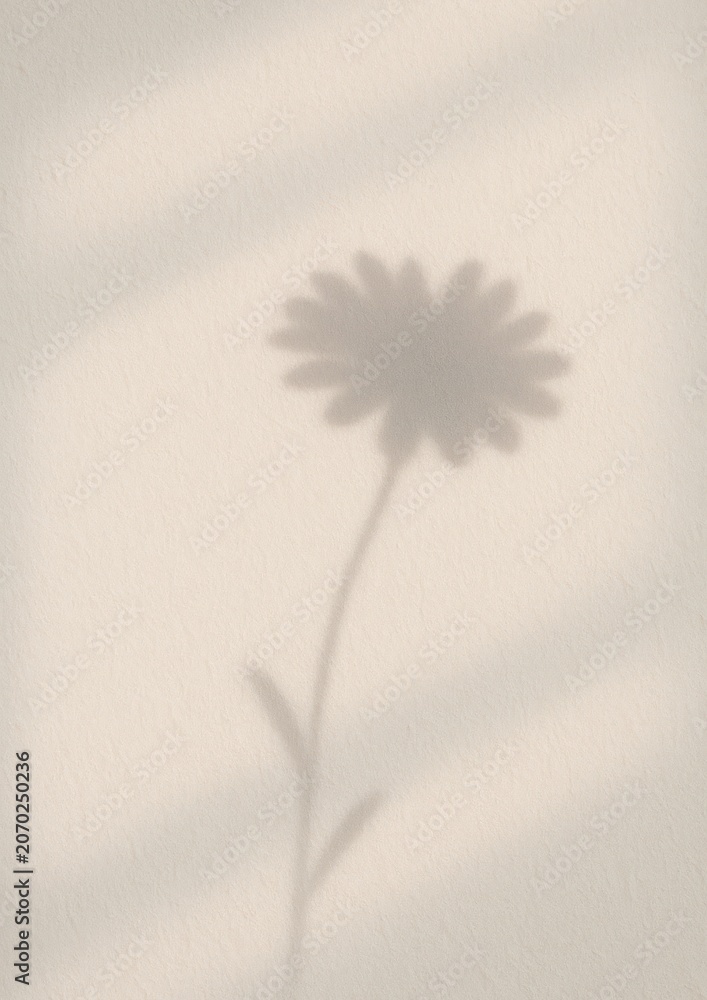 Obraz premium Minimalist floral shadow elegance