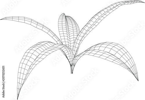 Abstract Wireframe Leaf Structure Mesh 3D Botanical Illustration.