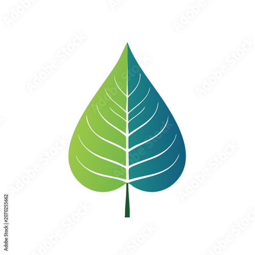 Green and blue leaf vector illustration