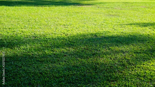 Vibrant green grass lawn with sunlight casting shadows across the surface outdoors