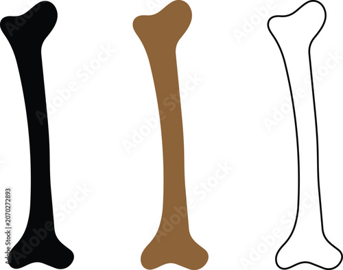 Tableau sur toile Set of bone vector illustrations