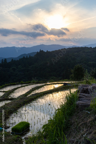 夕暮れの久留米木の棚田