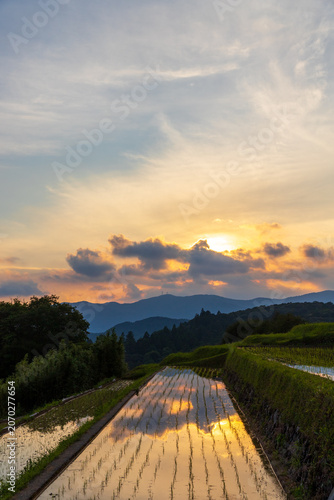 夕暮れの久留米木の棚田