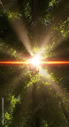 Sun Rays Through Verdant Forest Canopy.