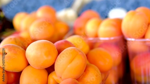 Fresh ripe apricots in plastic containers at local market showcasing sweet seasonal fruit and summer farm harvest