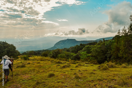 Hikers Trekking Through the Montane Forest and Heath Zone on Mount Meru, Arusha National Park, Tanzania