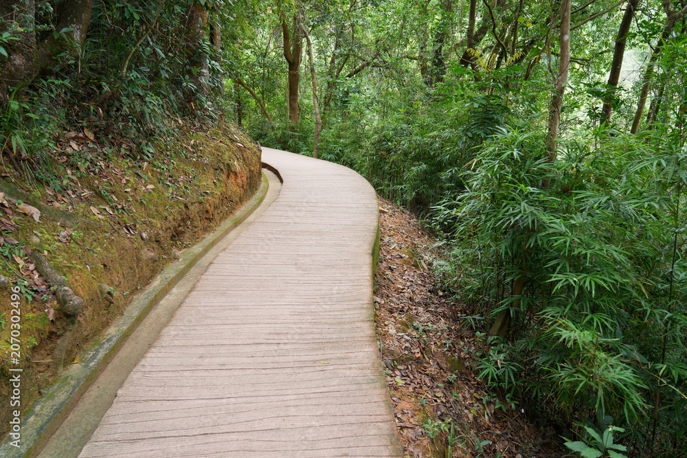 Fototapeta premium Trail in forest in Danxia Mountains (Danxiashan) in Renhua County in Shaoguan (Guangdong Province), China.
